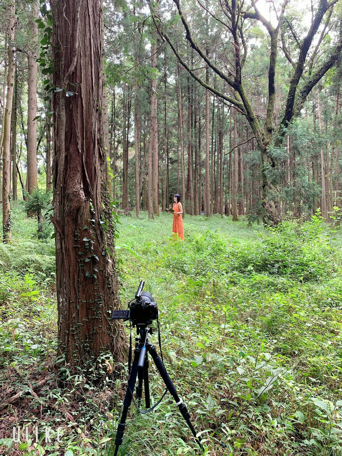 �X���C���[�W